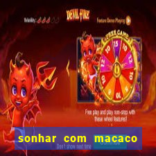 sonhar com macaco o que significa